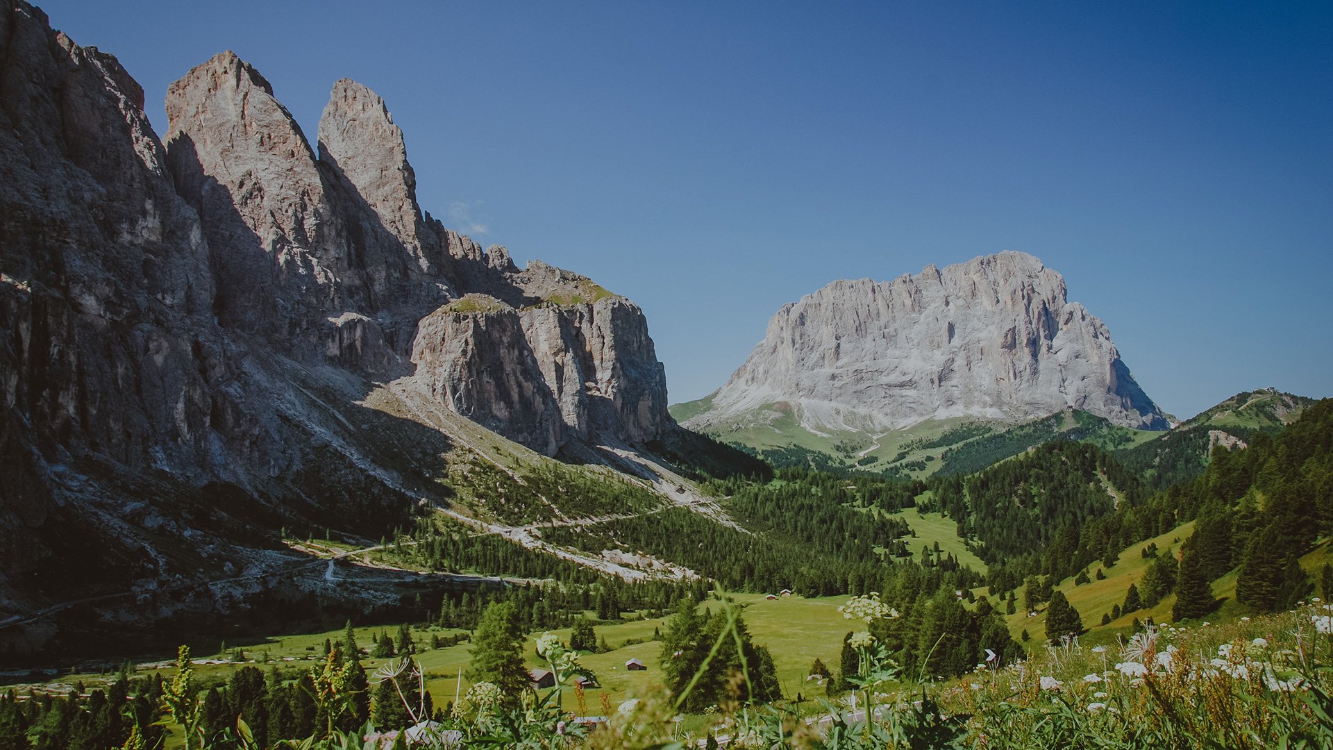 Panorama estivo sulle cime delle Dolomiti, con il Gruppo del Sella e il Sassolungo che si ergono su prati verdi e boschi